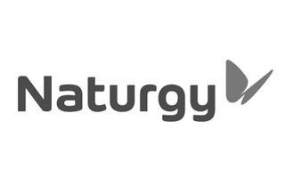 Naturgy