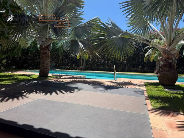 Pista de baile en Marbella